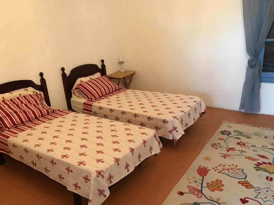 Historic French Townhouse Villa Saint-Thibéry Dış mekan fotoğraf