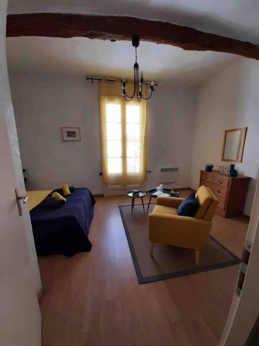 Historic French Townhouse Villa Saint-Thibéry Dış mekan fotoğraf